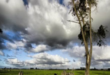 28圈官网：又是一届足代会！中国足协主要负责人调整受关注环球时报.