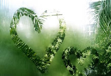 [高尔夫]威士伯锦标赛首轮暂停米切尔等5人领先 谢奥菲勒T23.